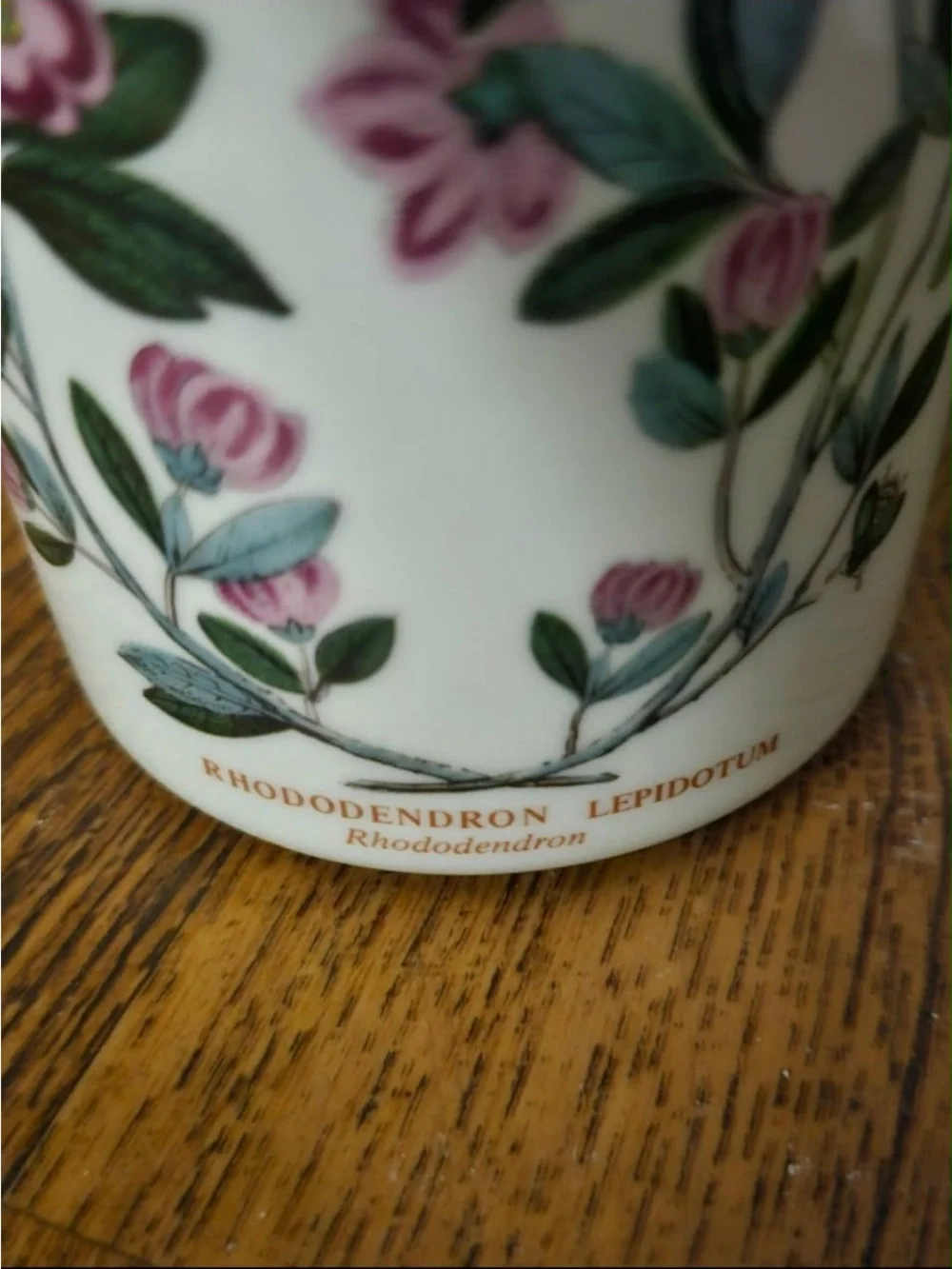 Portmeiron Botanic Garden Canister Set of 4